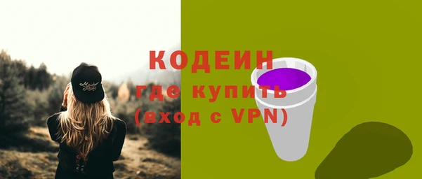 шишки Михайловск