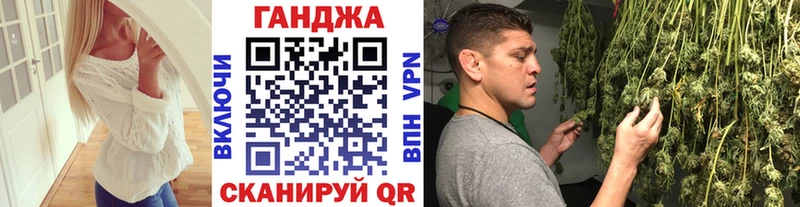 Каннабис сатива  Купить  Нестеровская 